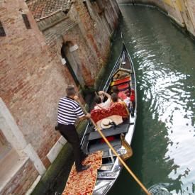 230496168_a0cc193712_o