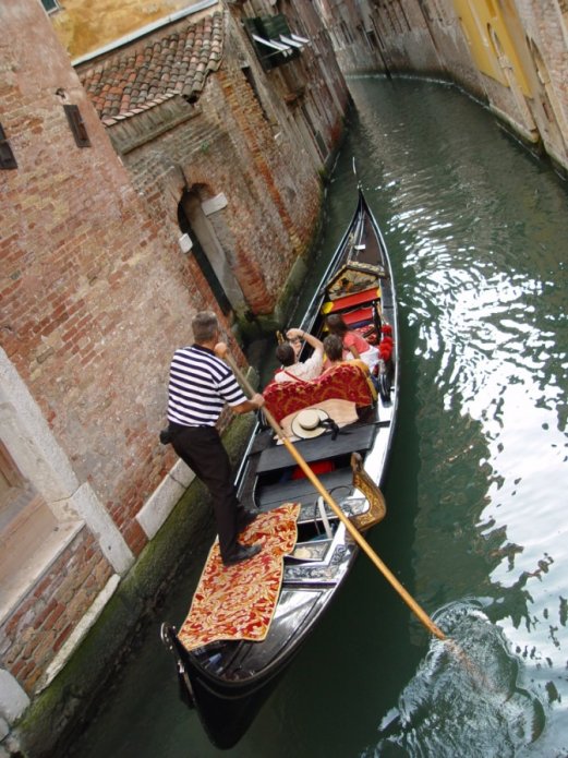 230496168_a0cc193712_o