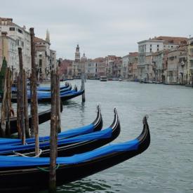 230496215_0e9f66b78d_o