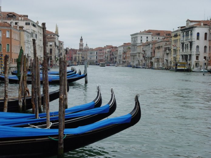 230496215_0e9f66b78d_o