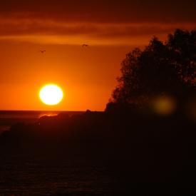 2830740797_667828aec6_o