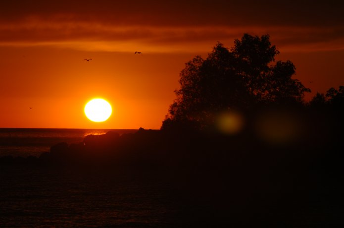 2830740797_667828aec6_o