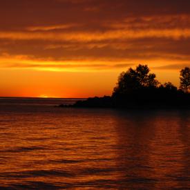 2830744337_f11a824489_o