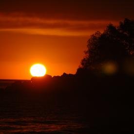 2831575204_c27e0a8c1d_o