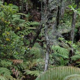 426688558_8104b39949_o