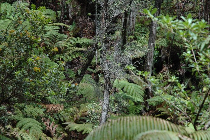 426688558_8104b39949_o