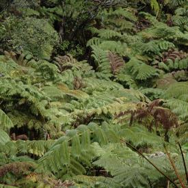 426689493_d5dcd03c73_o