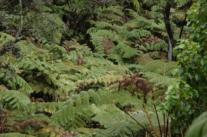 426689493_d5dcd03c73_o