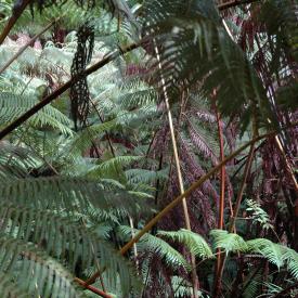 426690507_41fd65dd57_o