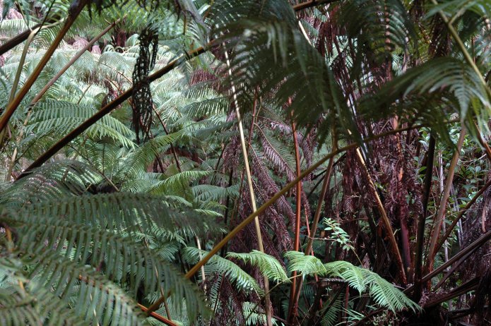 426690507_41fd65dd57_o