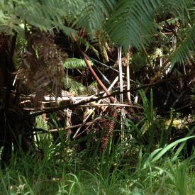 426694575_15253743e5_o