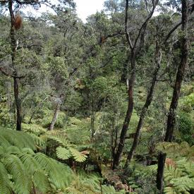 426695567_d01c29e6d5_o