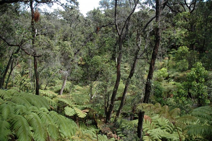 426695567_d01c29e6d5_o