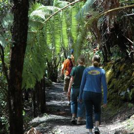 426696617_48f20894b5_o