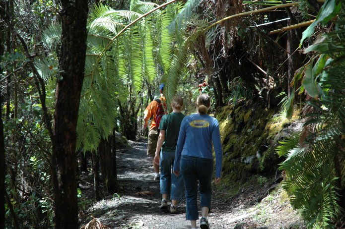 426696617_48f20894b5_o