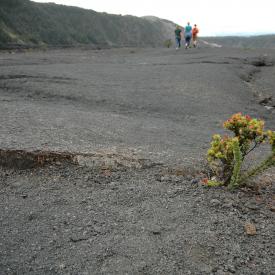 426699583_df7b2891d8_o