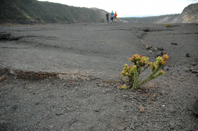 426699583_df7b2891d8_o