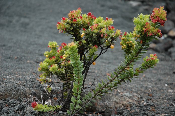 426700480_72599ba2c0_o