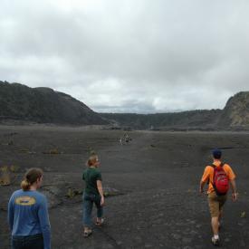 426702438_31bae3e901_o