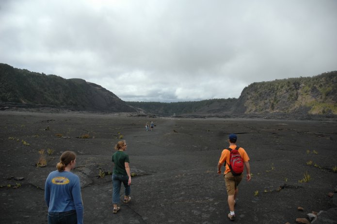 426702438_31bae3e901_o