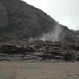 426703431_d2157f5c72_o