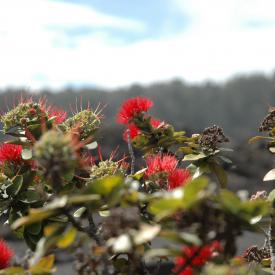 426723832_98d2be758c_o