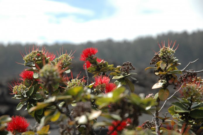 426723832_98d2be758c_o