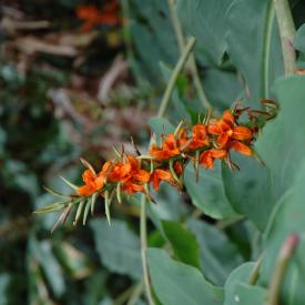 426725774_2678573514_o