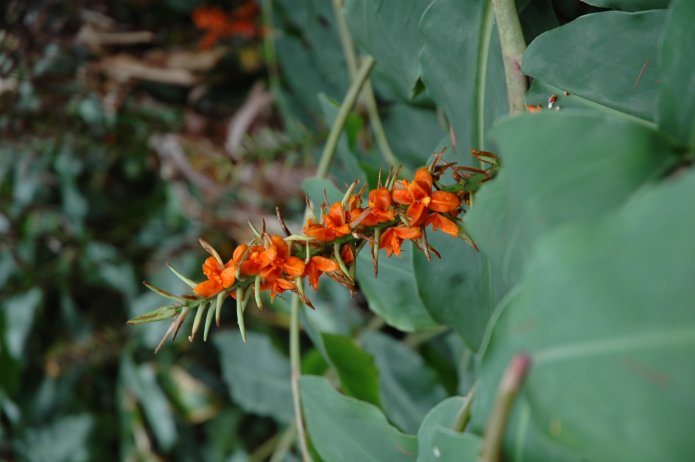 426725774_2678573514_o