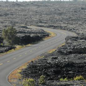 426735490_0779626ef1_o