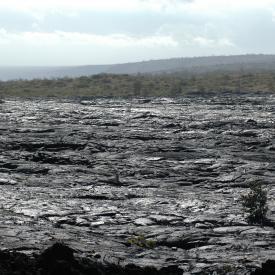 426736675_d62db734a0_o