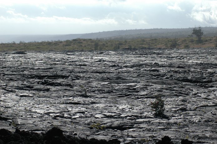 426736675_d62db734a0_o