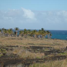 426740220_7e3098cf83_o