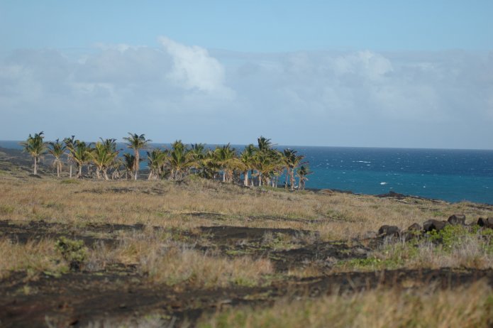 426740220_7e3098cf83_o