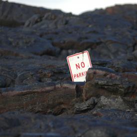 426741455_29f6aea856_o