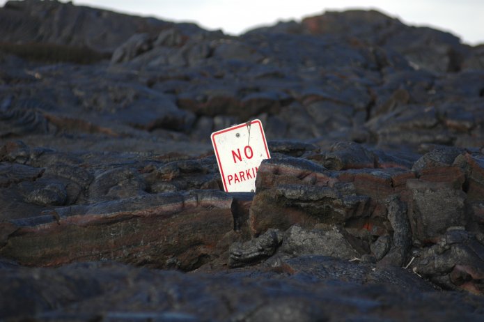 426741455_29f6aea856_o