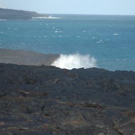 426742637_fd7f0333a1_o