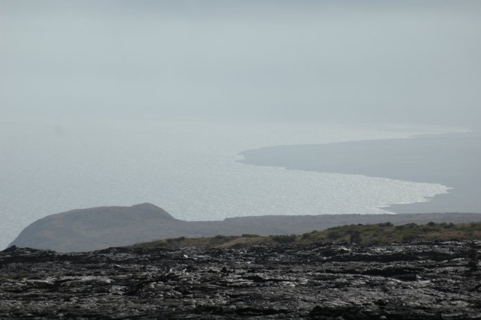 426744053_8510f7d5d6_o