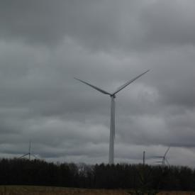 351862039_39bd1ef266_o