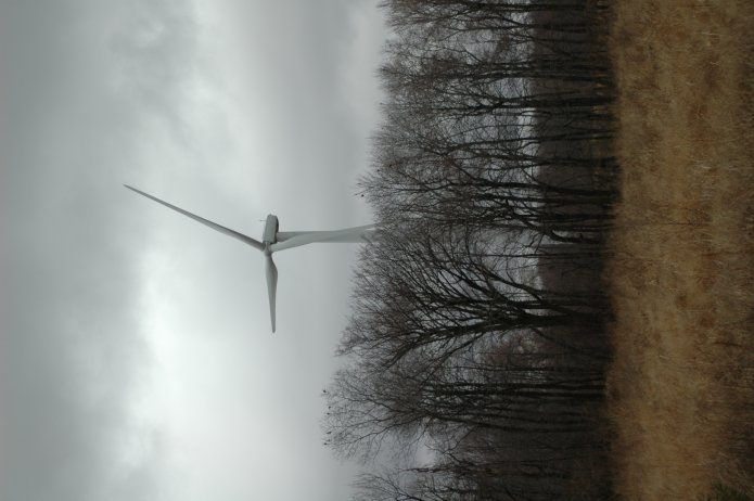 351864221_5d2228af7d_o