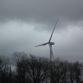 351865169_83d1cc7cb4_o