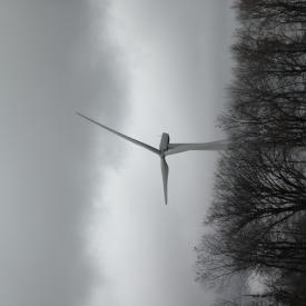 351866262_086c20f788_o