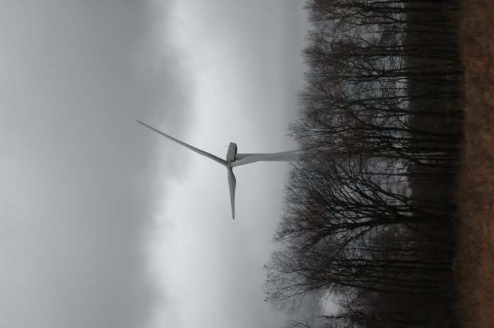 351866262_086c20f788_o