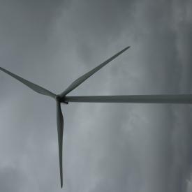 351867126_43728a591b_o