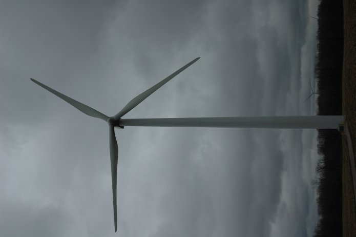 351867126_43728a591b_o