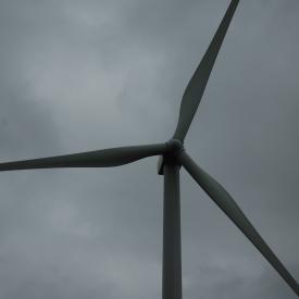 351868080_ef42cd5e63_o