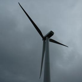 351868982_1411ea93f9_o