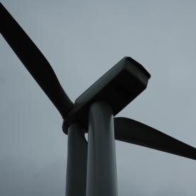 351869795_4bcbfda455_o