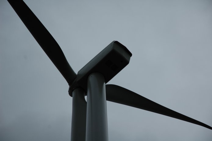 351869795_4bcbfda455_o