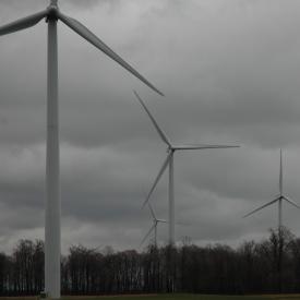 351871416_b10afd3917_o